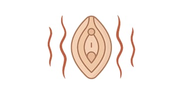 Are concerned about volume loss and deflation of the labia majora