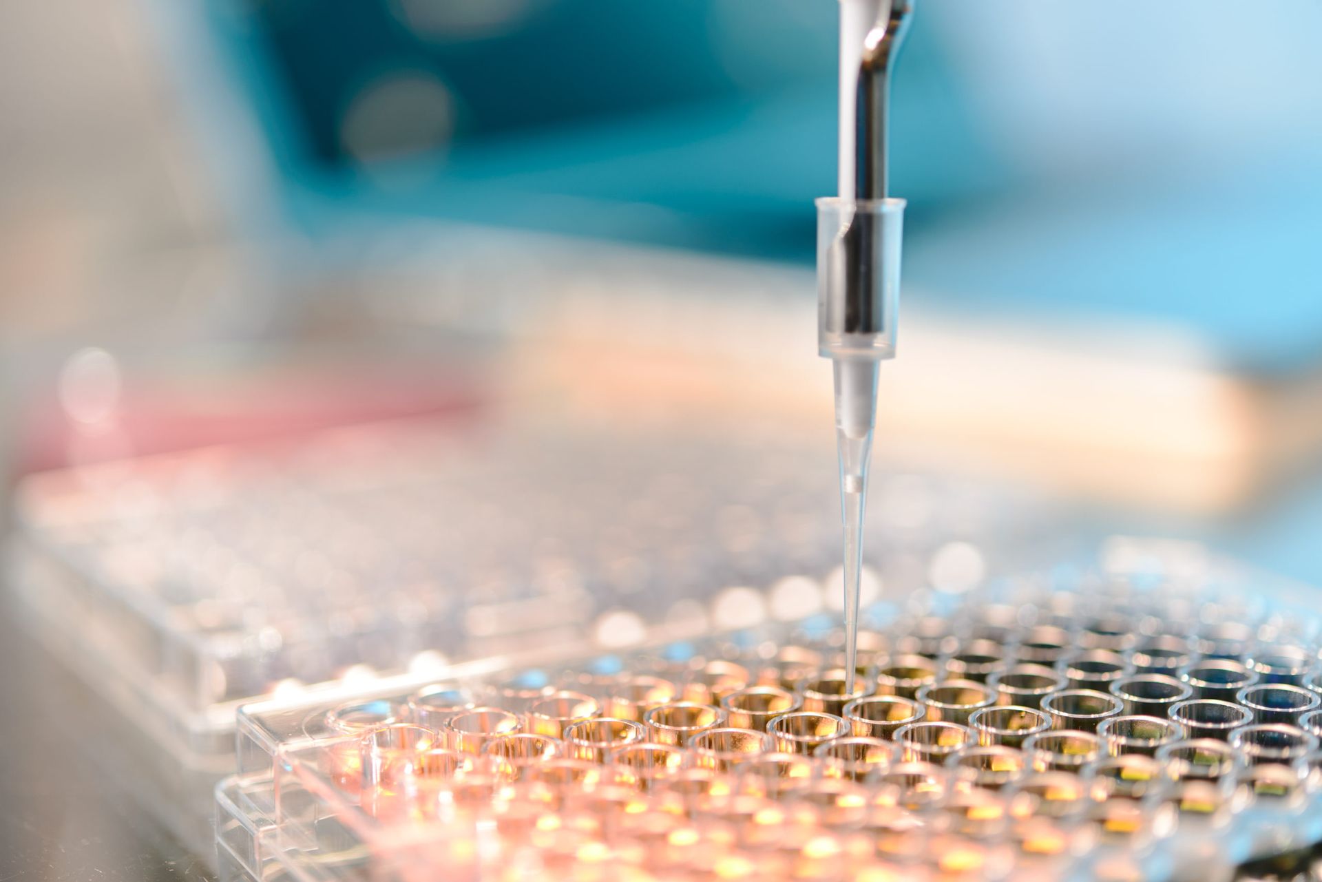 The administration of Purified and Concentrated Stem Cell Culture Supernatant Injection